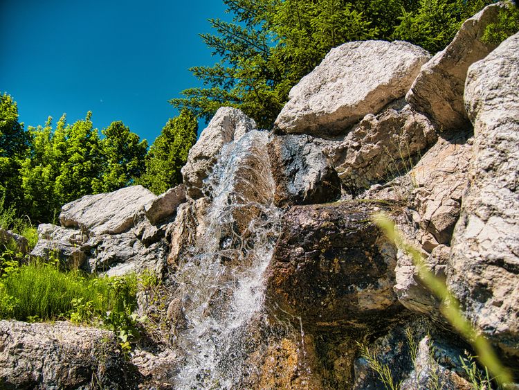 Myślęcinek zaprasza w wakacje do Ogrodu Botanicznego i ZOO