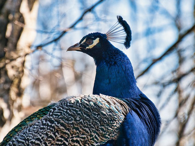 „Z piórem w dłoni” w bydgoskim zoo
