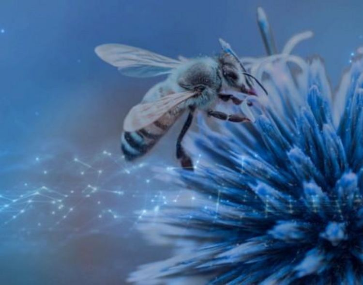 kliknij aby przeczytać pełną treść POLE DO POPISU – cyberbezpieczeństwo i ekologia