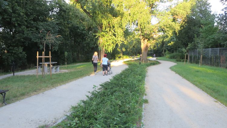 Park Wolności pod okiem kamer