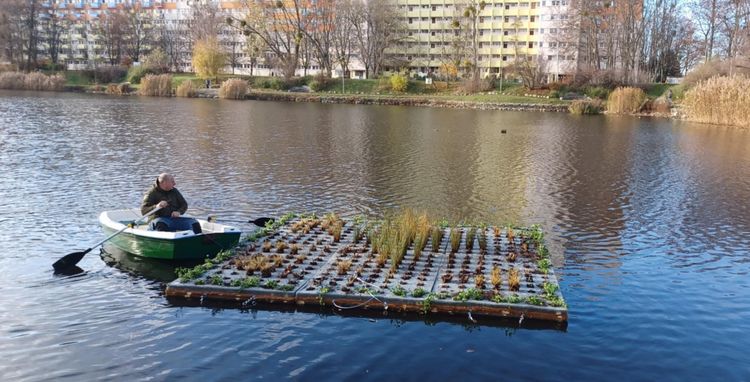 Kwitnąca wyspa na Balatonie – nowy dom dla dzikiej natury