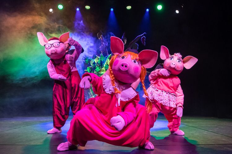 kliknij aby przeczytać pełną treść Listopadowe spotkania z Teatrem Kameralnym