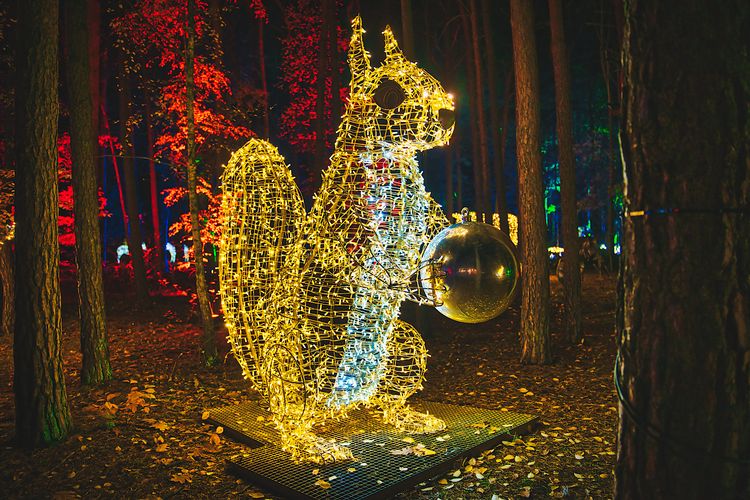 Myślęcinek zamieni się w Królestwo Zwierząt