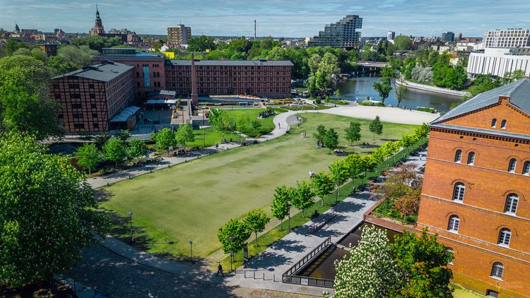 Wiosna w Młynach w rozkwicie