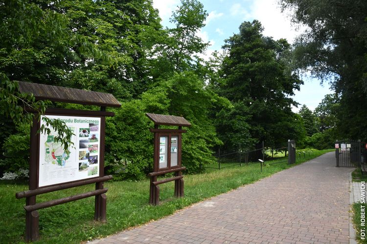 Kamienna promenada w parku, po bokach tablice informacyjne Ogrodu Botanicznego na drewnianych stojakach z zadaszeniami.