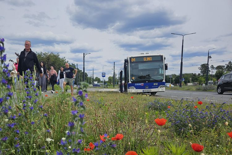 Kolejna linia podmiejska do podbydgoskiej Brzozy