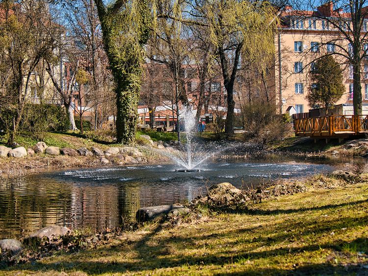 Botanik zaprasza na spacer po zielonej oazie