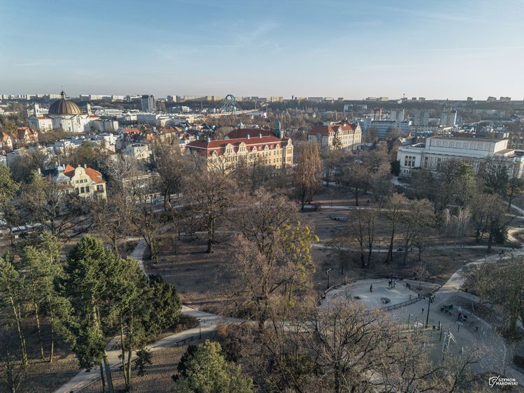 Weekend 6-8 marca. Świętujemy Dzień Kobiet i urodziny Kina Orzeł