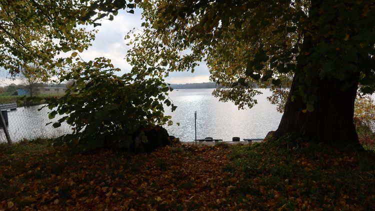 Wybory do Rady Osiedla Bydgoszcz Brdyujście