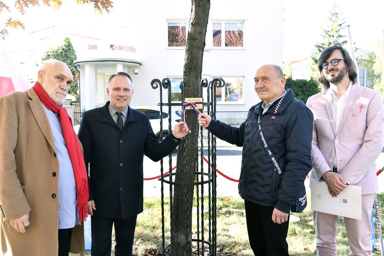 Festiwal Prapremier. Hieronim Konieczka ma swój dąb