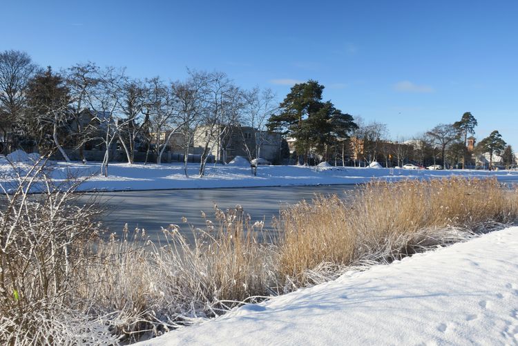 Ścieżki dla pieszych i rowerzystów wzdłuż Kanału Bydgoskiego