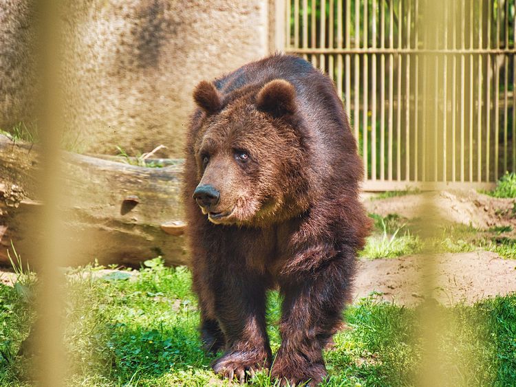 Warsztaty i gra terenowa w bydgoskim zoo