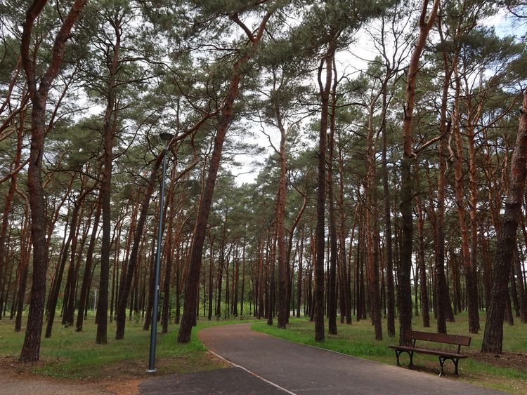 Nowe alejki i oświetlenie na Błoniu gotowe