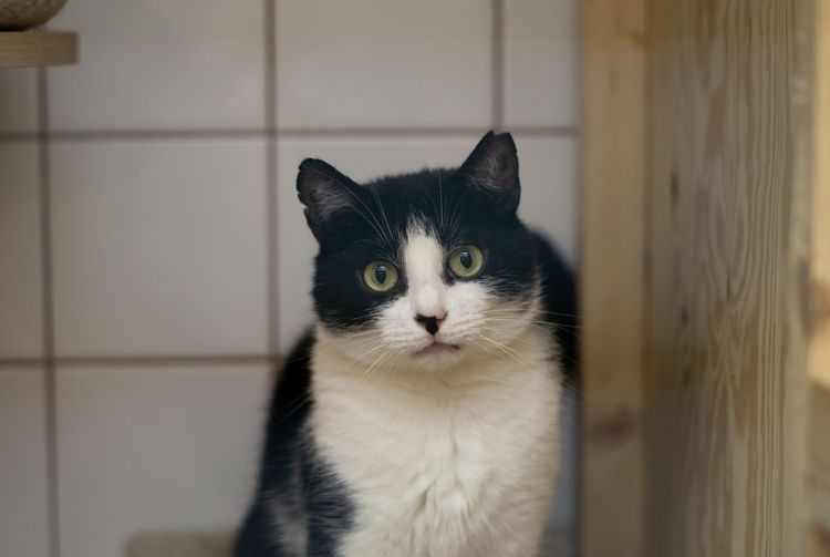 kliknij aby przeczytać pełną treść Stukot zaprasza na licytację