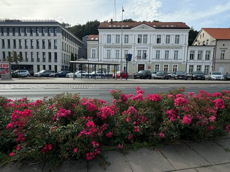 kliknij aby przeczytać pełną treść Zabytkowy gmach prokuratury w remoncie