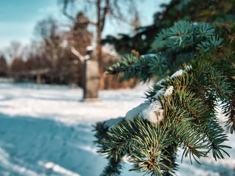 kliknij aby przeczytać pełną treść W mroźne dni nie bądźmy obojętni