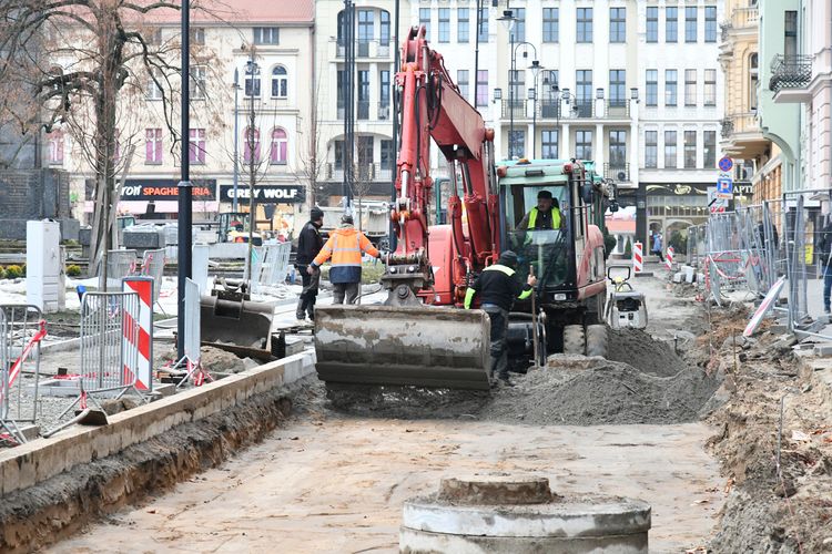 Rewitalizacja placu Wolności. Sadzimy drzewa i krzewy. Raport nr 11