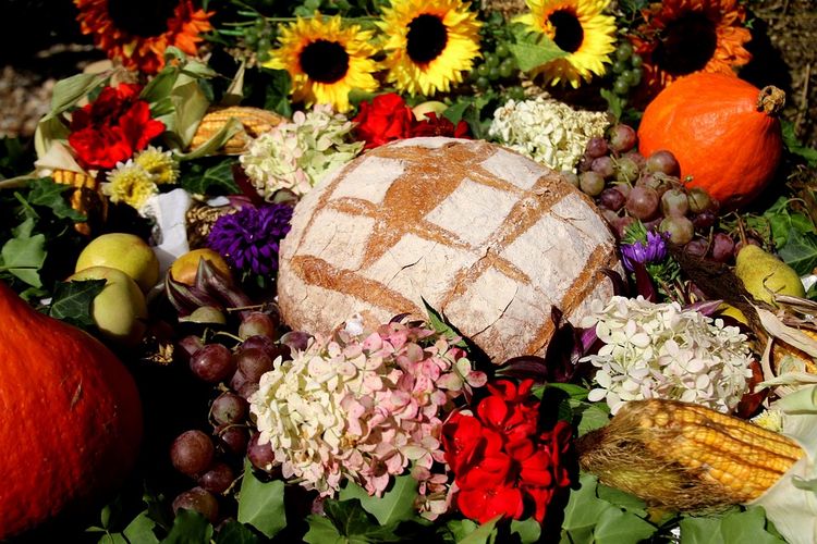 Dożynki wojewódzkie w Bydgoszczy