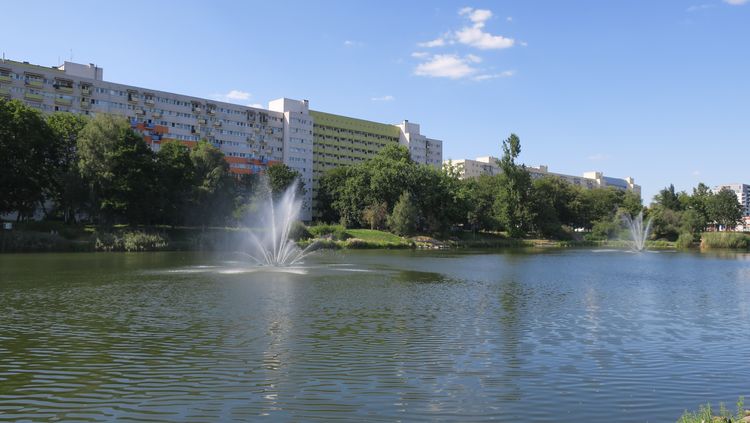 Kino plenerowe nad Balatonem
