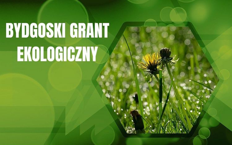 Bydgoskie Granty Ekologiczne 2026 przyznane